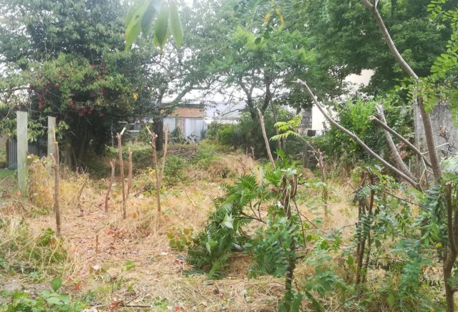 Le Mans Pontlieue Terrain à bâtir de 373 m² avec 8,17 de façade — photo 1