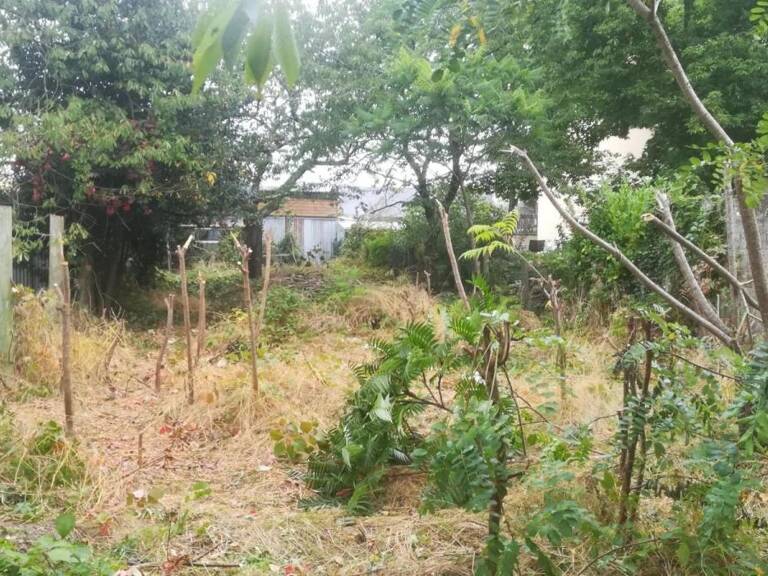 Le Mans Pontlieue Terrain à bâtir de 373 m² avec 8,17 de façade — photo 1