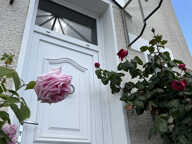 Maison en pierre 4 chambres TB état — photo 2
