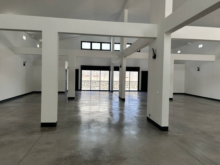 LOCAL NEUF SAINT-PIERRE 230M2 — photo 1