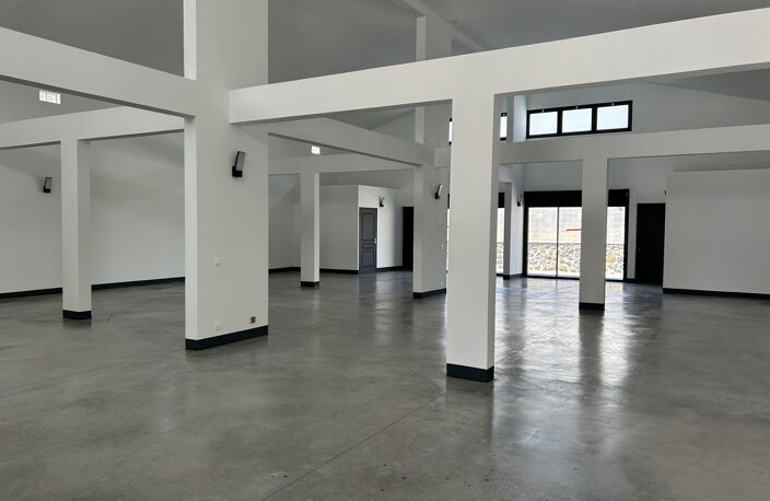 LOCAL NEUF SAINT-PIERRE 230M2 — photo 3