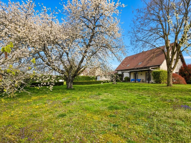 Maison 6 chambres avec 3 garages sur grand terrain à seuleme — photo du bien