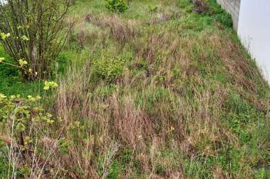 Terrain  231000 €