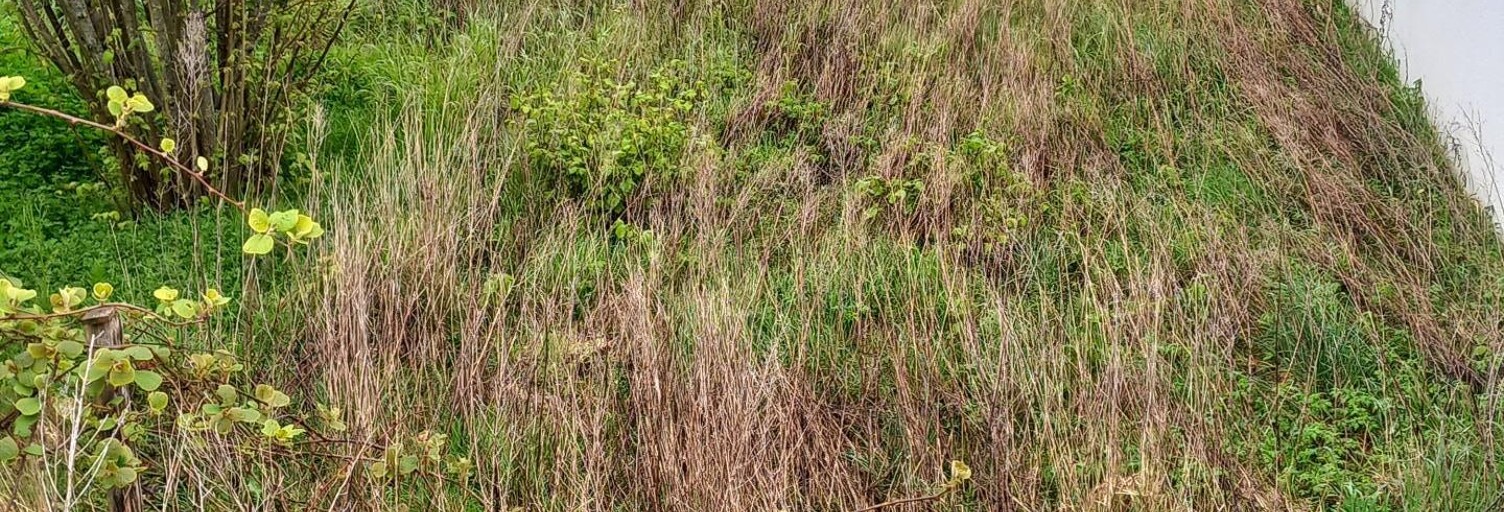 Terrain  1011 m² à vendre à La Tranche-sur-Mer (85360)