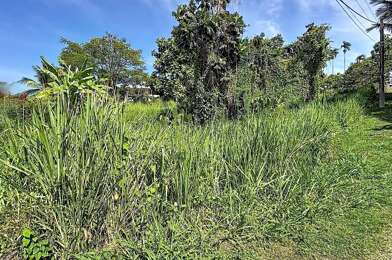 Terrain  120000 €