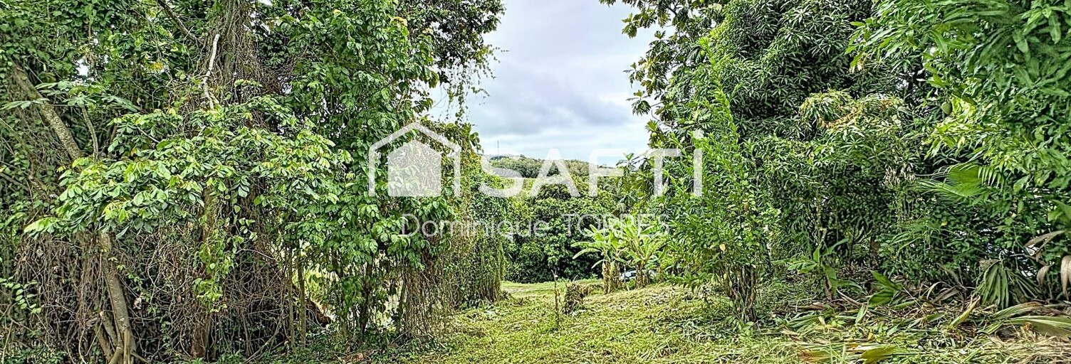 Terrain  1075 m² à vendre à La Trinité (97220)