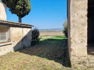 Ferme de caractère au coeur du pays du Cassoulet — photo 4