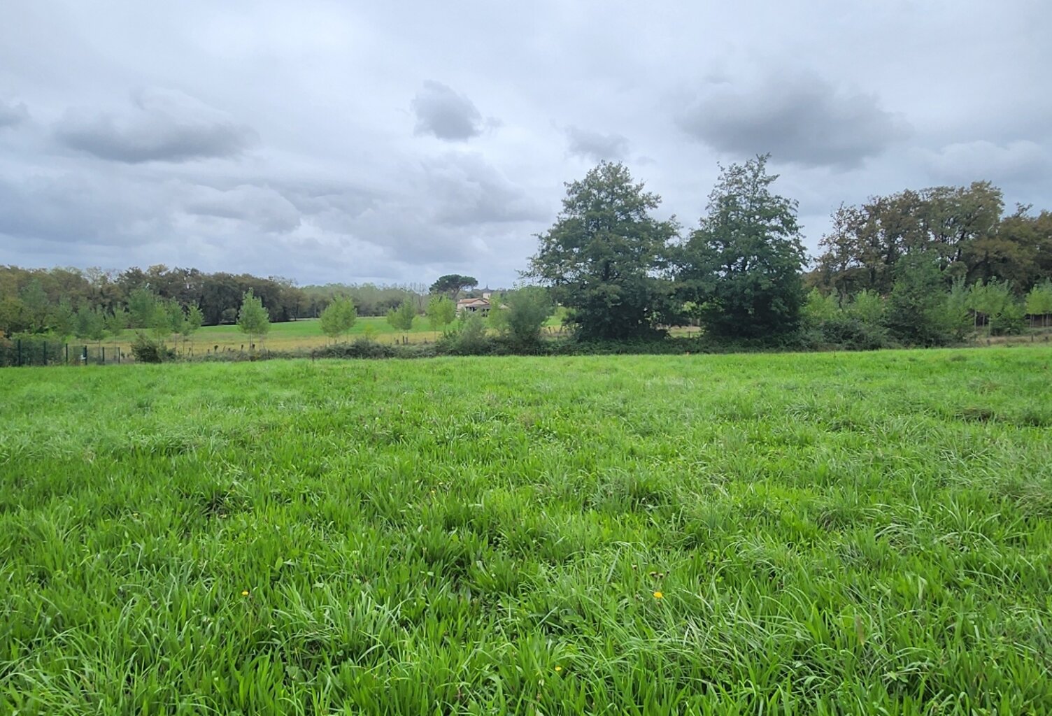 Vente Terrain à bâtir 2 973 m&sup2; — photo 1