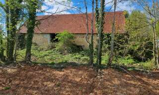 Maison 2 Pièces 300 m² à vendre à Vijon (36160)