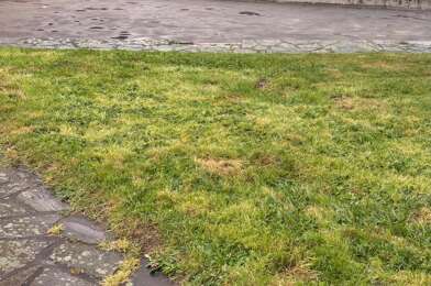 Appartement 3 pièces 107000 €