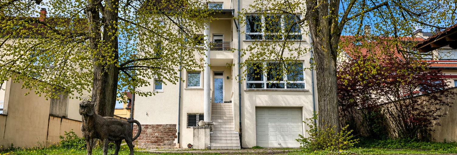 Immeuble  330 m² à vendre à Grosbliederstroff (57520)