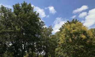 Maison 6 Pièces 240 m² à vendre à Montpon-Ménestérol (24700)