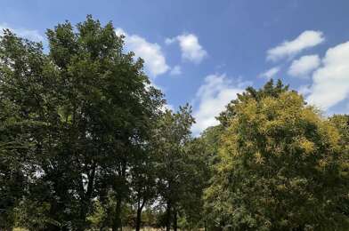 Maison 6 pièces 262000 €