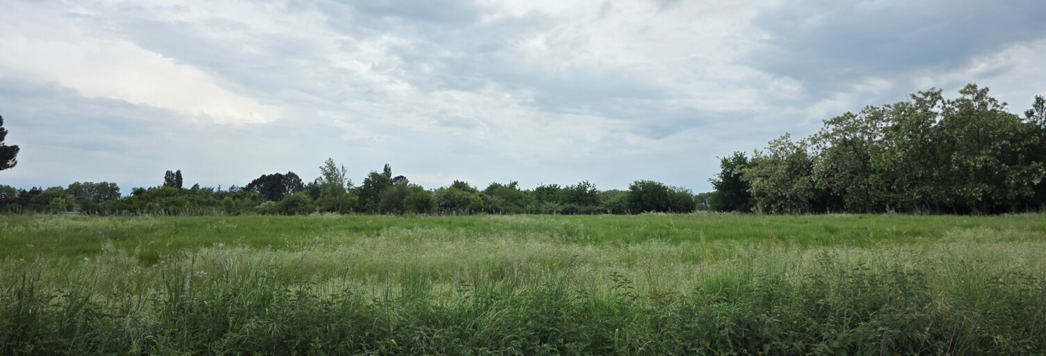 Terrain  500 m² à vendre à Gaillac (81600)