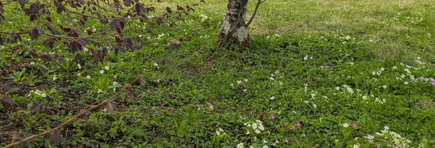Photo N° 2