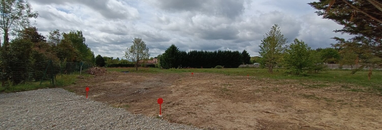 Photo N° 2