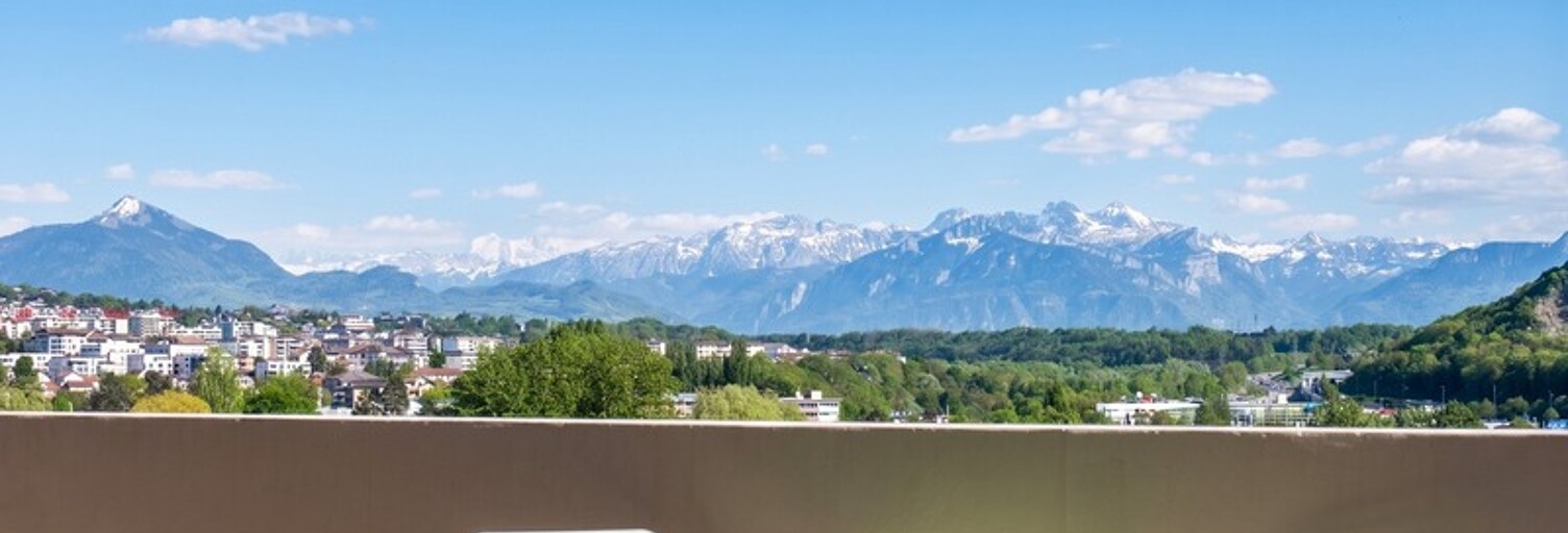 Appartement 4 Pièces 101 m² à vendre à Ambilly (74100)