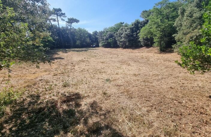 EXCLUSIVITÉ ST-GEORGES D'OLERON (17) Très beau terrain constructible 3.060m² emplac N°1 à 300mt plage côte Ouest — photo 2