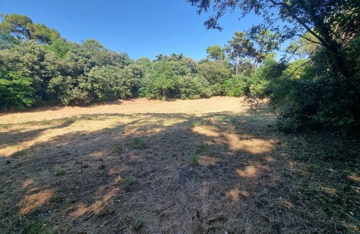 EXCLUSIVITÉ ST-GEORGES D'OLERON (17) Très beau terrain constructible 3.060m² emplac N°1 à 300mt plage côte Ouest — photo 3