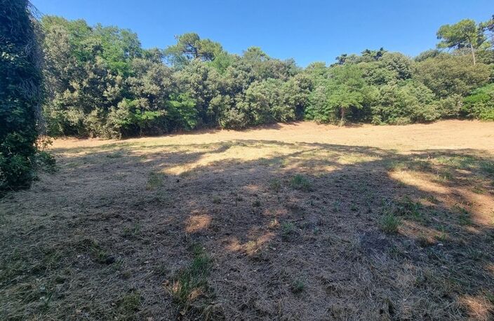 EXCLUSIVITÉ ST-GEORGES D'OLERON (17) Très beau terrain constructible 3.060m² emplac N°1 à 300mt plage côte Ouest — photo 4
