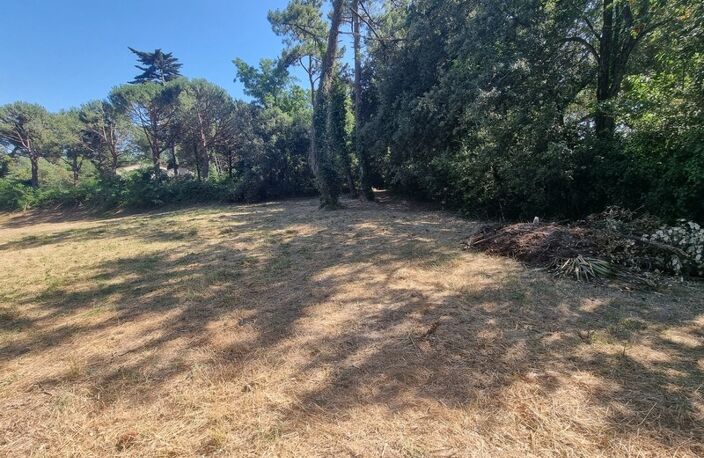 EXCLUSIVITÉ ST-GEORGES D'OLERON (17) Très beau terrain constructible 3.060m² emplac N°1 à 300mt plage côte Ouest — photo 5
