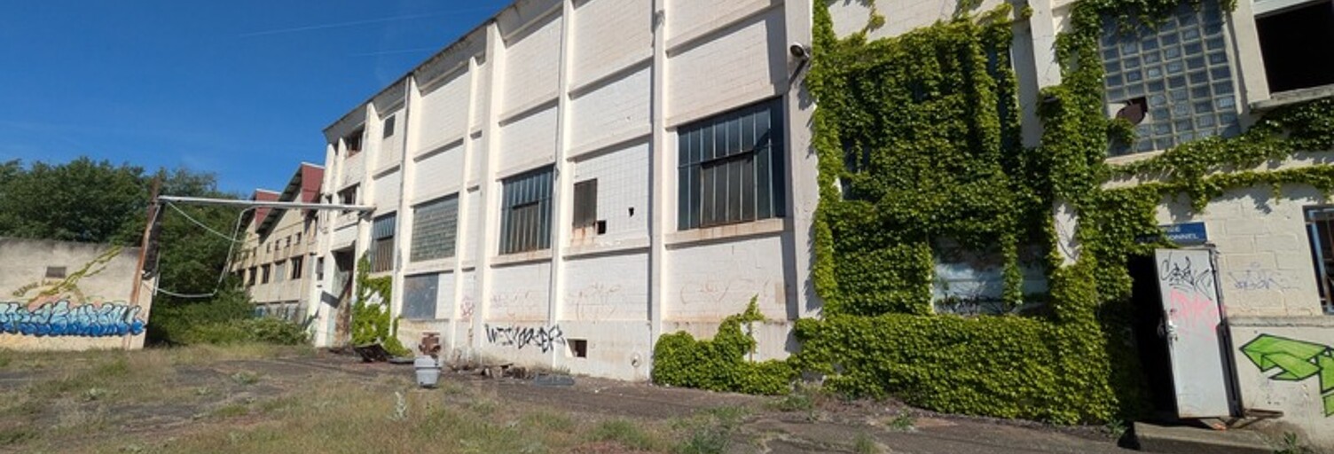 Local industriel 2 Pièces 2250 m² à louer à Givors (69700)