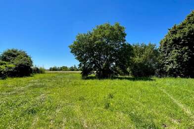 Terrain  89000 €