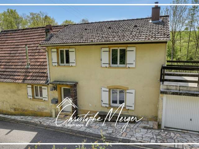 Maison à vendre 3 chambres 115m² à Hangviller (57) proche de Phalsbourg, avec grand jardin et sous-sol — photo du bien