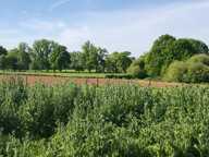 Maison 144m² à Saint-Fraimbault, calme et charme — photo 3