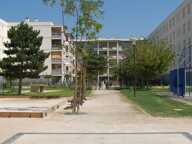 A louer à L'ISLE sur SORGUE — photo 2