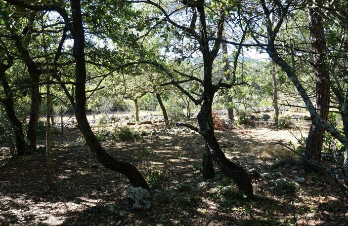 Terrain à bâtir Saint Maximin Sud — photo 3