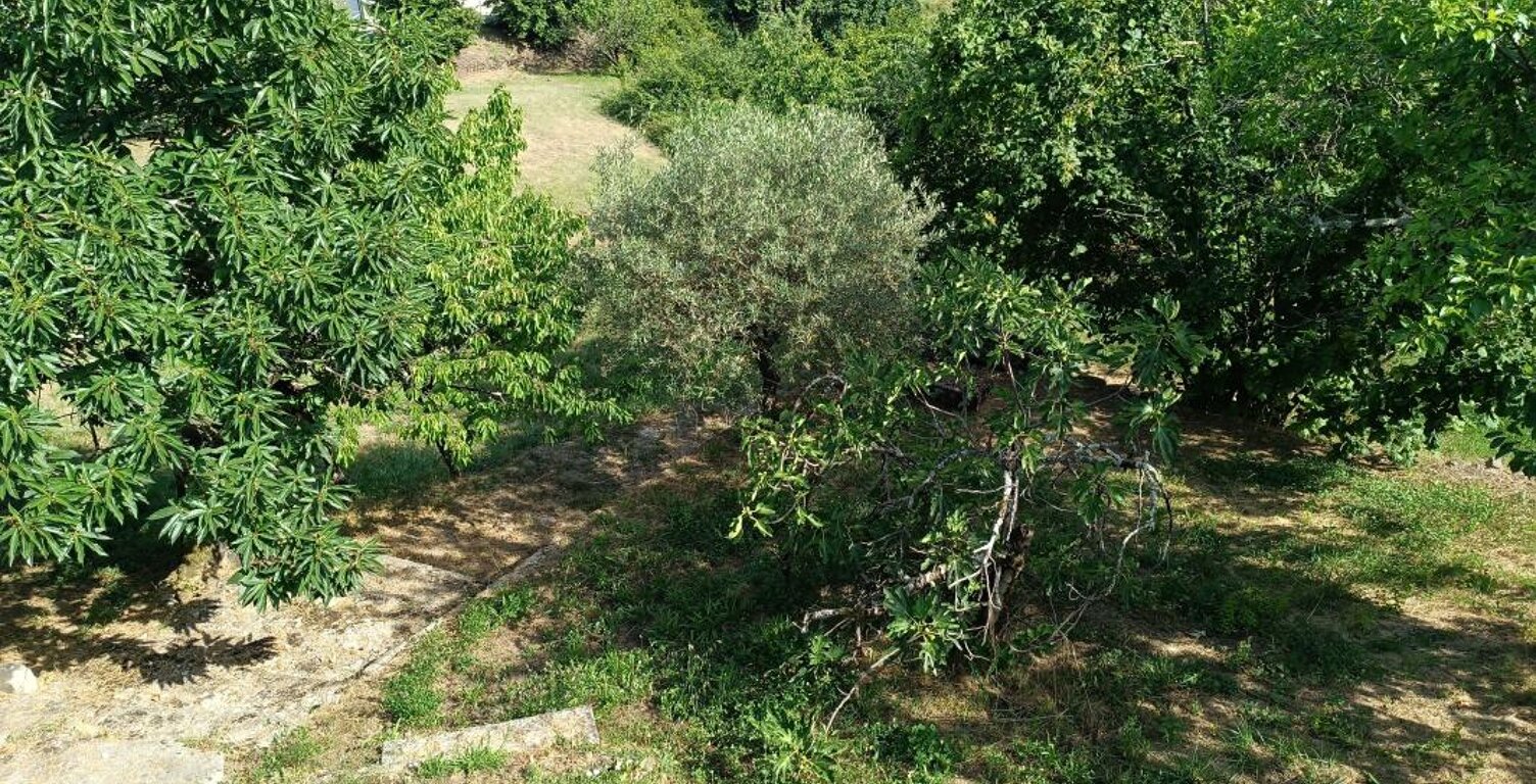 Appartement en copropriété à vendre avec terrain Attenant et non attenant — photo 1