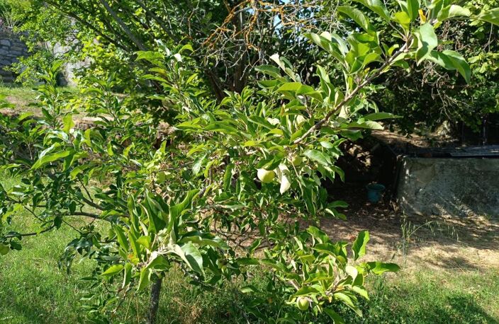 Appartement en copropriété à vendre avec terrain Attenant et non attenant — photo 2