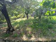 Appartement en copropriété à vendre avec terrain Attenant et non attenant — photo 3