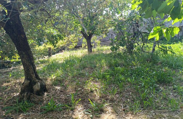 Appartement en copropriété à vendre avec terrain Attenant et non attenant — photo 3