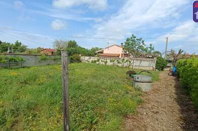Terrain  50000 €