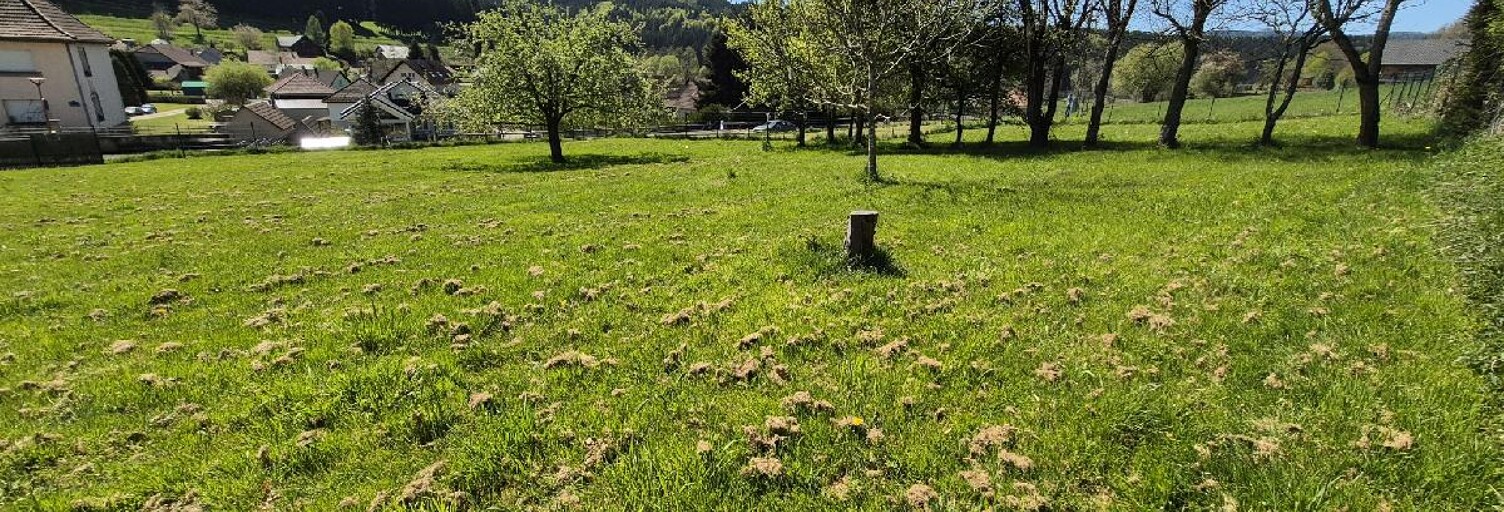 Terrain  799 m² à vendre à Colroy-la-Roche (67420)
