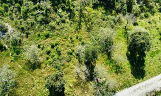 Terrain  6922 m² à vendre à Grimaud (83310)