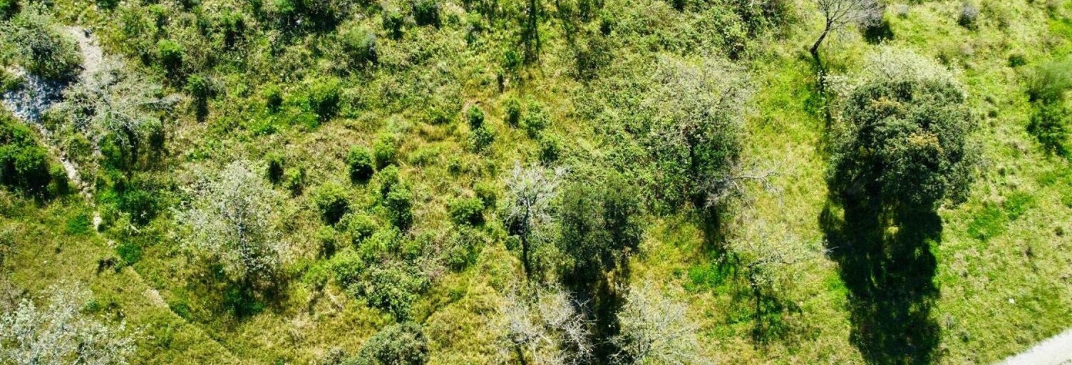 Terrain  6922 m² à vendre à Grimaud (83310)