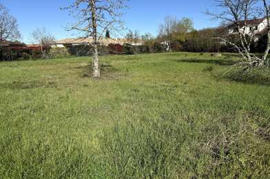 Terrain  329000 €