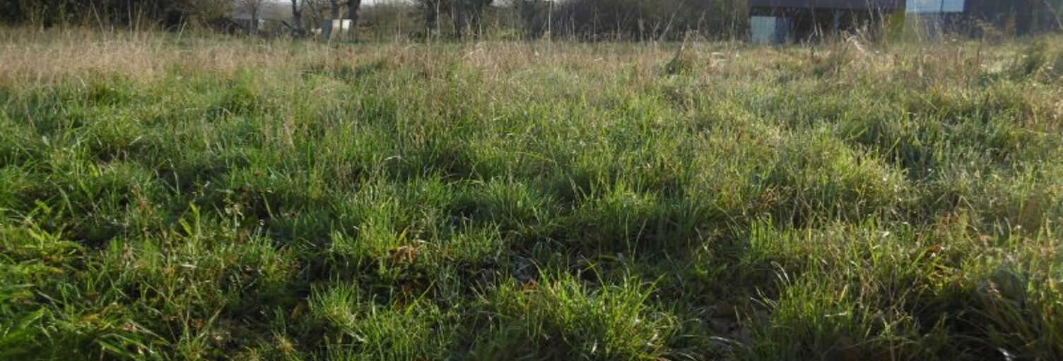 Terrain  1816 m² à vendre à Segré-en-Anjou Bleu (49500)