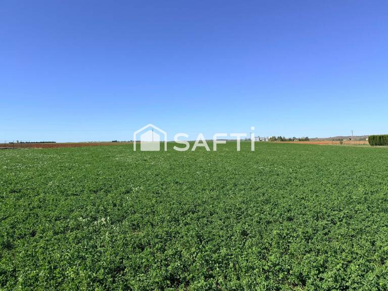Terrain 22395 m2 avec partie constructible 6500 m2 — photo 1