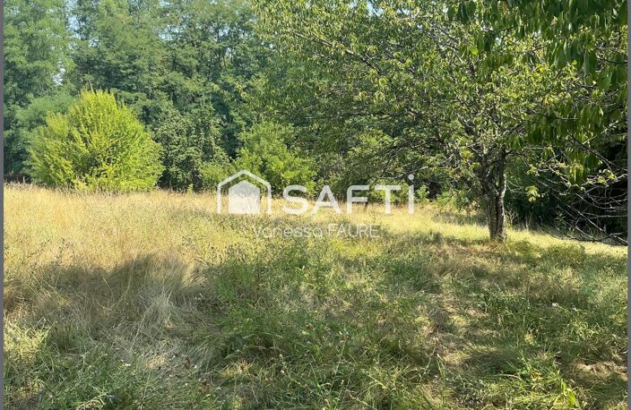 À saisir : 2700m2 de sérénité absolue, entre arbres et verger fruitier » — photo 3