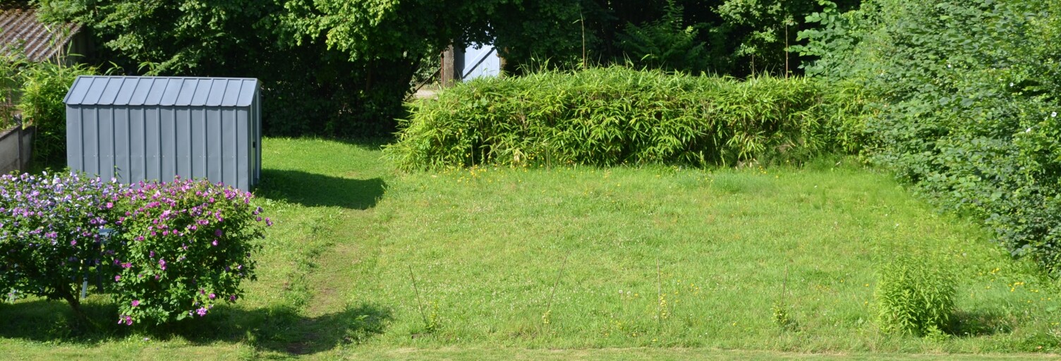 Photo N° 2