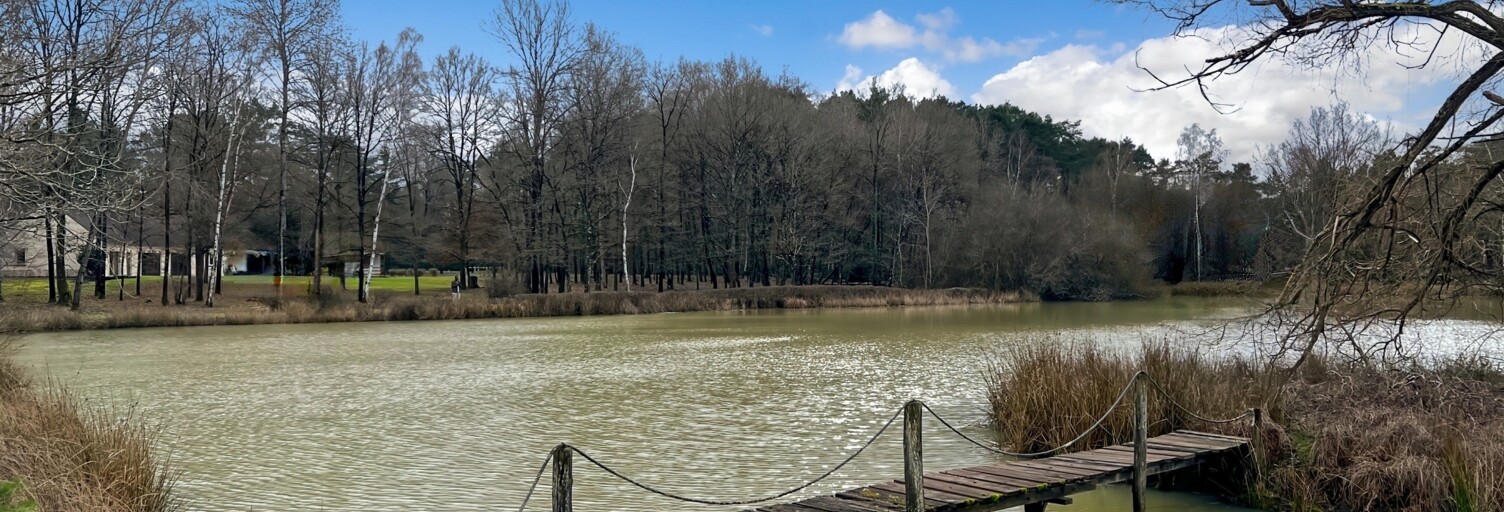 Photo N° 2