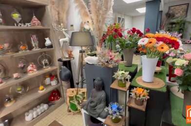 Commerce 2 pièces 48750 €
