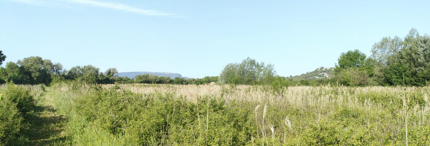 Terrain  12880 m² à vendre à Seillons-Source-d'Argens (83470)