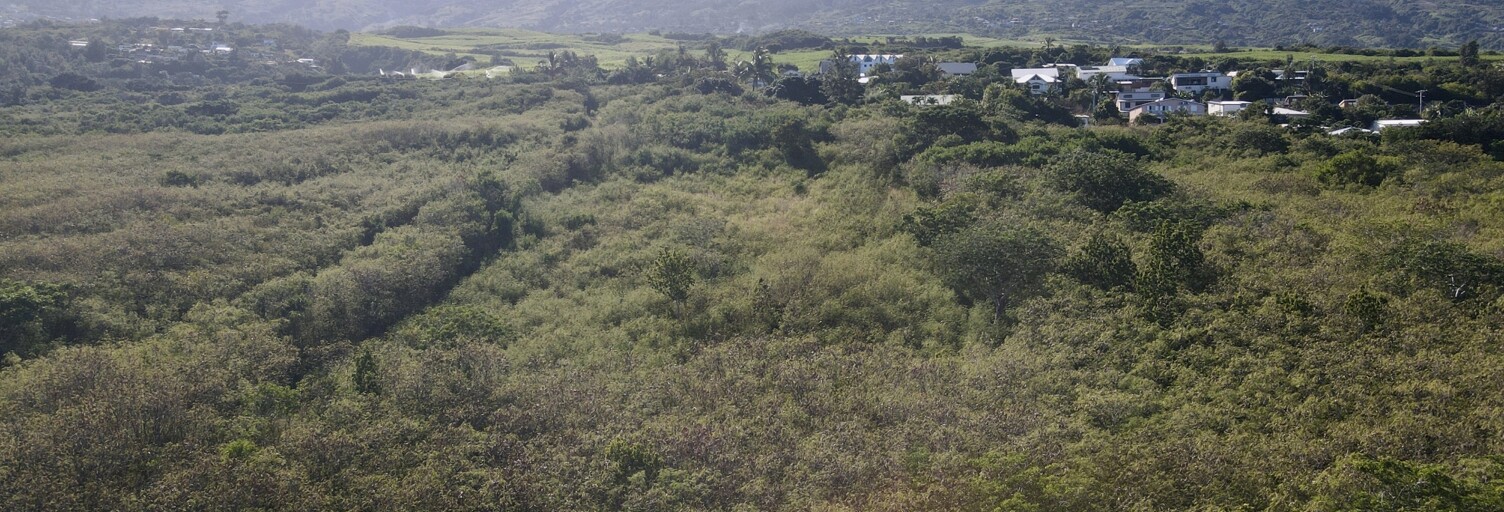 Terrain  1725 m² à vendre à Saint-Leu (97436)