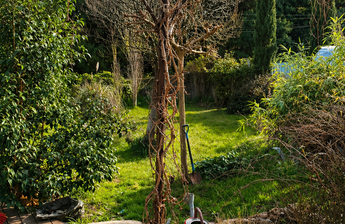 Vente Maison traditionnelle 6 pièces — photo 3
