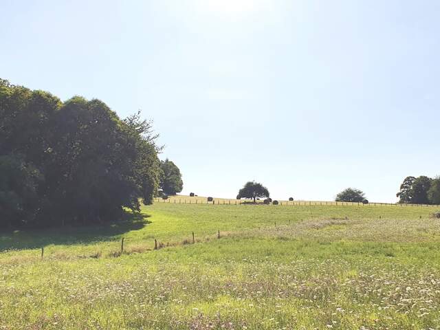 Vente Terrain 3 002 m&sup2; — photo du bien